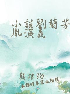 小说刘兰芳赵匡胤演义