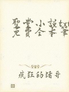 圣堂小说txt免费全本笔趣阁