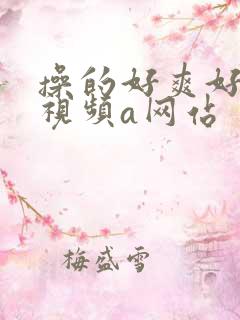 操的好爽好舒服视频a网站