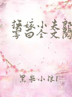 换嫁小夫郎by雩白全文阅读