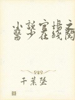 小说官场之风流医少在线阅读