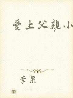 爱上父亲小说