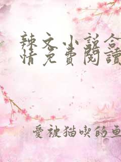 辣文小说合集激情免费阅读