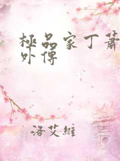极品家丁萧夫人外传