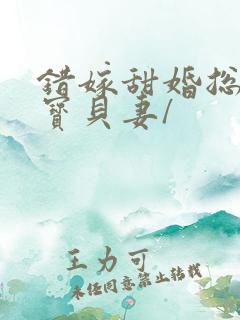 错嫁甜婚总裁的宝贝妻/
