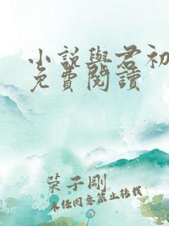小说与君初相识免费阅读