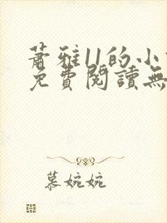 萧雅11的小说免费阅读无弹窗最新章节