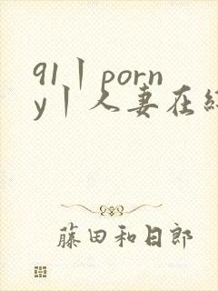 91丨porny丨人妻在线视频