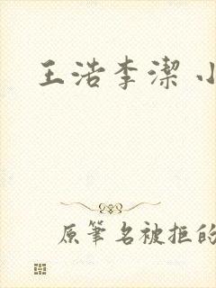 王浩李洁 小说