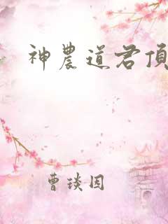 神农道君顶点
