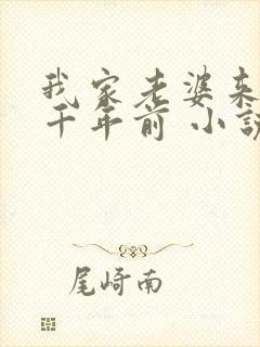 我家老婆来自一千年前 小说