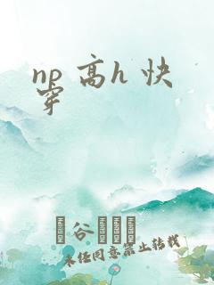 np 高h 快穿