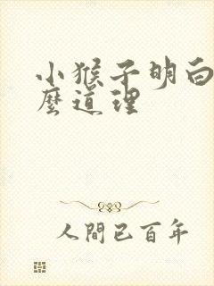小猴子明白了什么道理