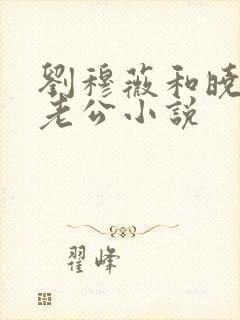 刘穆薇和晓婉的老公小说