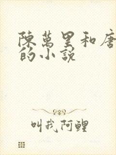 陈万里和唐嫣然的小说