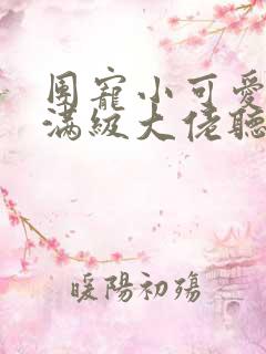 团宠小可爱成了满级大佬听小说