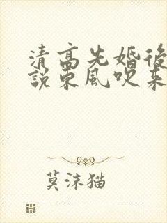 清高先婚后爱小说东风吹来