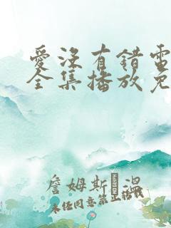爱没有错电视剧全集播放免费