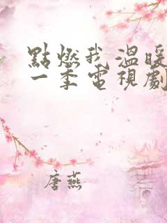 点燃我温暖你第一季电视剧免费观看