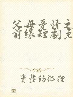 父母爱情之再续前缘短剧免费完整版在线观看