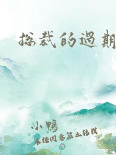 总裁的过期情人