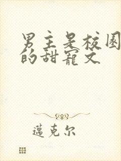 男主是校园大佬的甜宠文
