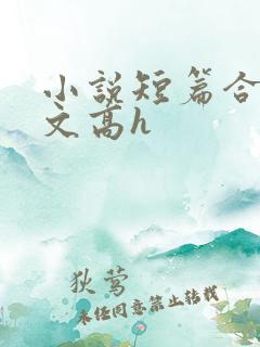 小说短篇合集爽文高h