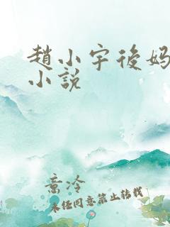 赵小宇后妈晴姨小说