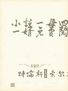 小说一母四女共一婿免费阅读