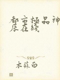 都市极品神医叶辰在线