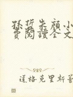 孙哲朱颜小说免费阅读全文最新章节