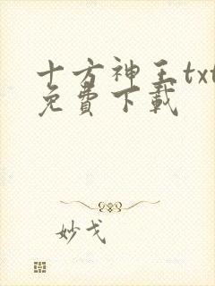 十方神王txt免费下载