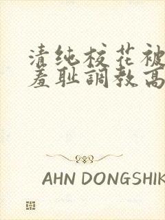 清纯校花被民工羞耻调教高h