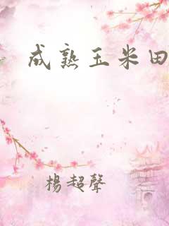 成熟玉米田图片