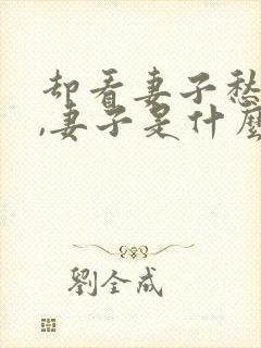 却看妻子愁何在,妻子是什么意思?