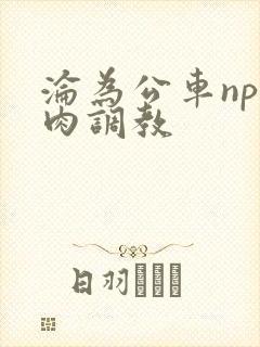 沦为公车np纯肉调教