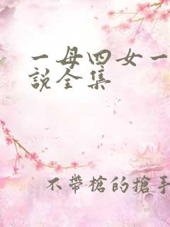 一母四女一婿小说全集