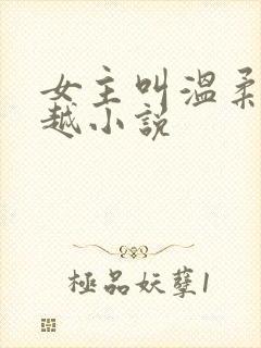 女主叫温柔的穿越小说