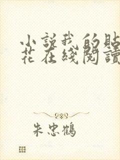 小说我的贴身校花在线阅读全文