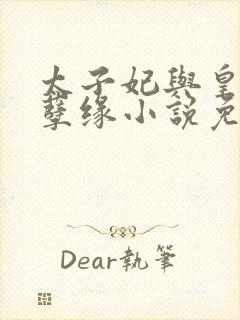 太子妃与皇上的孽缘小说免费阅读