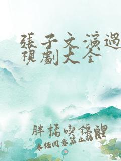 张子文演过的电视剧大全
