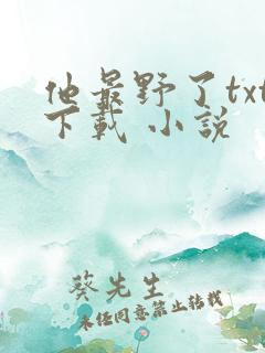 他最野了txt下载 小说
