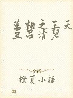 万相之王天蚕土豆吕清儿