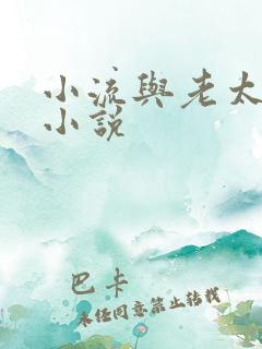 小流与老太恋老小说