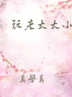 玩老太太小说