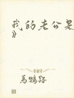 我的老公是大佬》