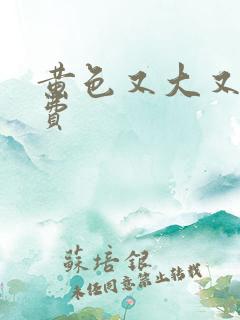 黄色又大又爽免费