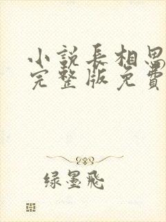 小说长相思桐华完整版免费阅读大结局