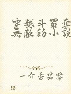 穿越斗罗夺舍杨无敌的小说