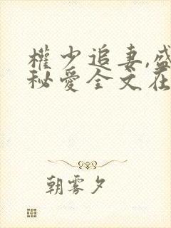 权少追妻,盛婚秘爱全文在线阅读